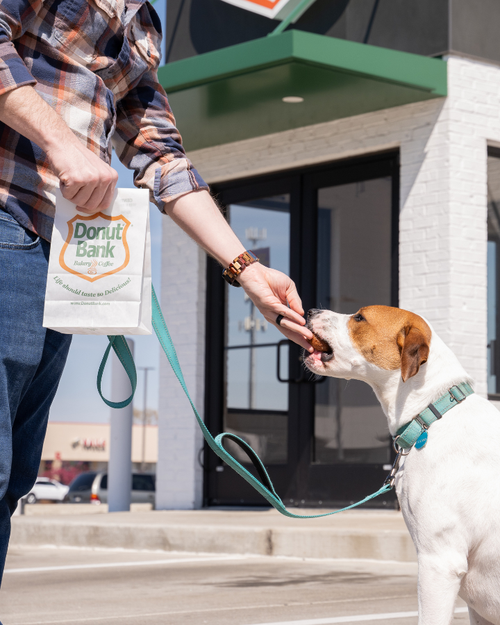 Donut Bank Pet Friendly