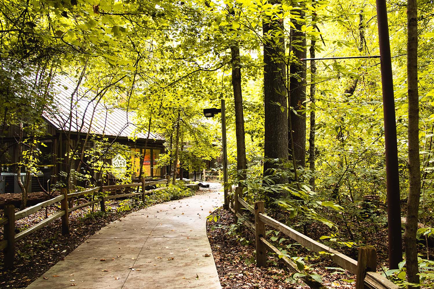 EIFE_WesselmanWoods