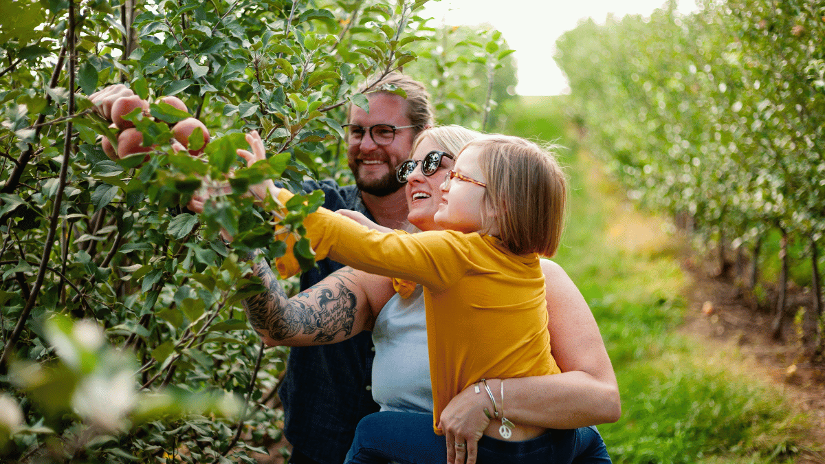 Orchard picking
