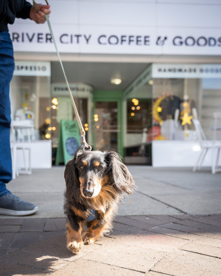 River City Coffee and Goods