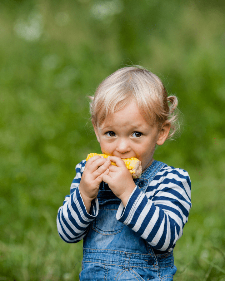 Sweet Corn Festival