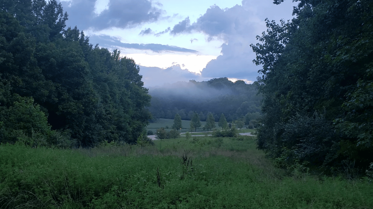 USI Burdette Trail View
