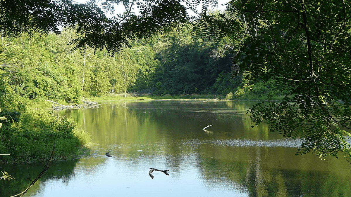 audubon state park-1