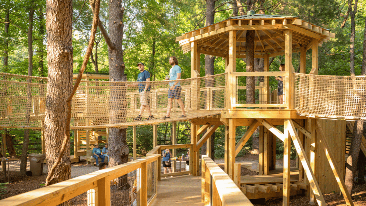 wesselman woods tree house