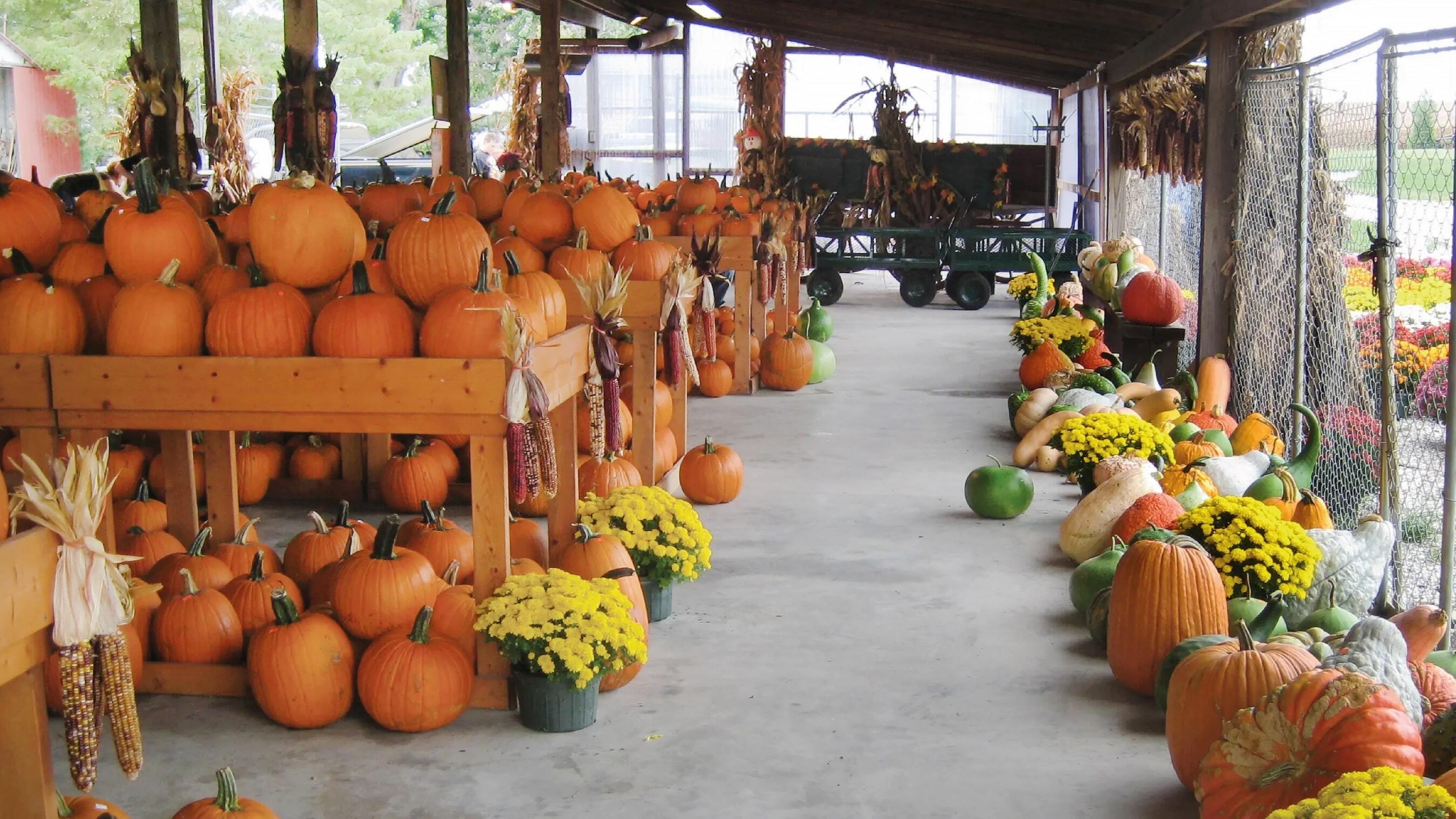 goebel farms