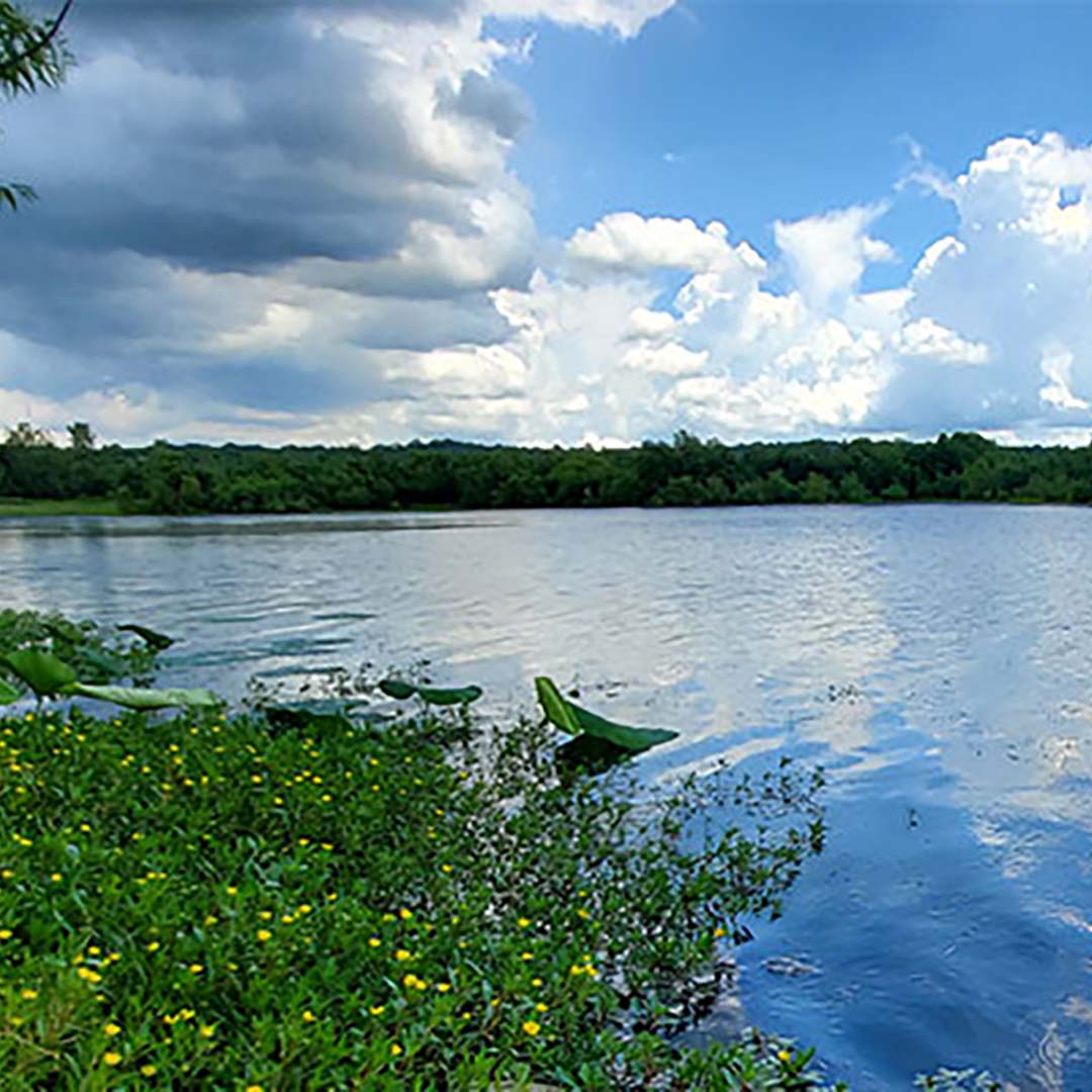 A sunny day with large, fluffy clouds at Bluegrass Fish & Wildlife Area near Evansville, IN