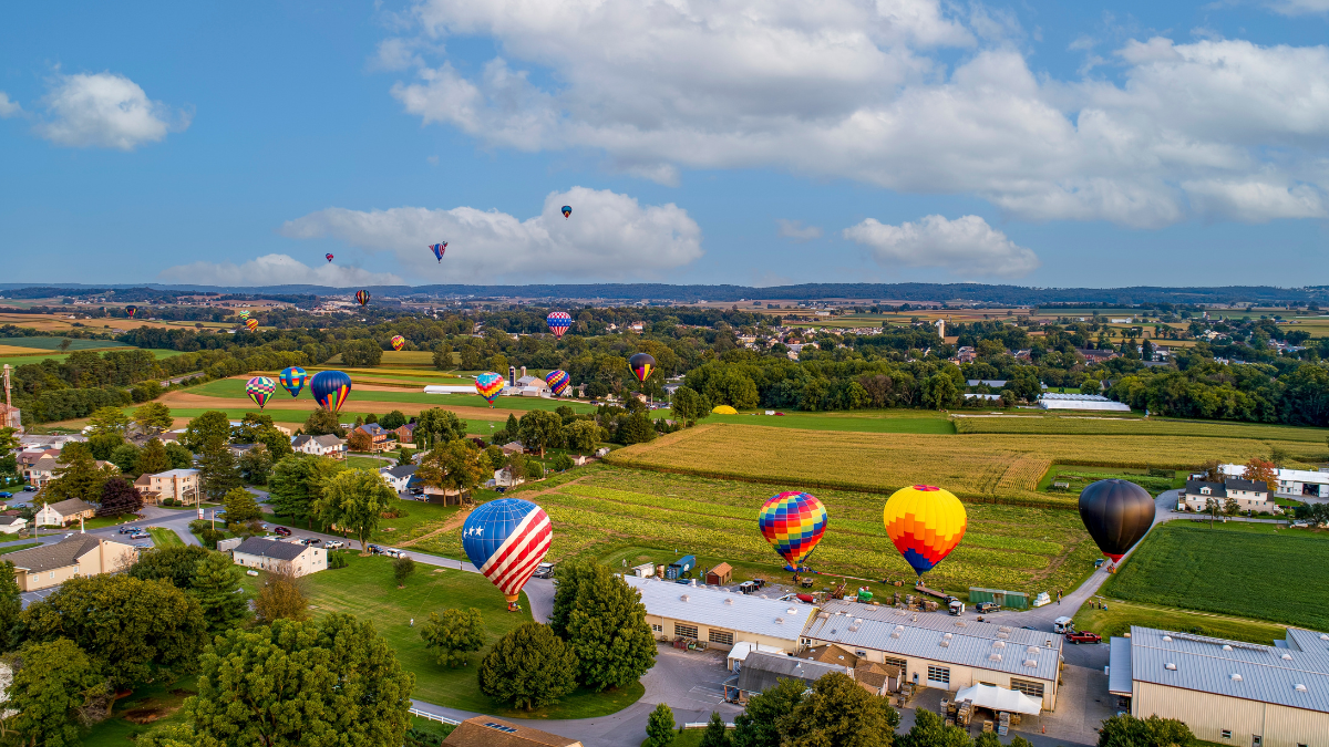 hot air balloons