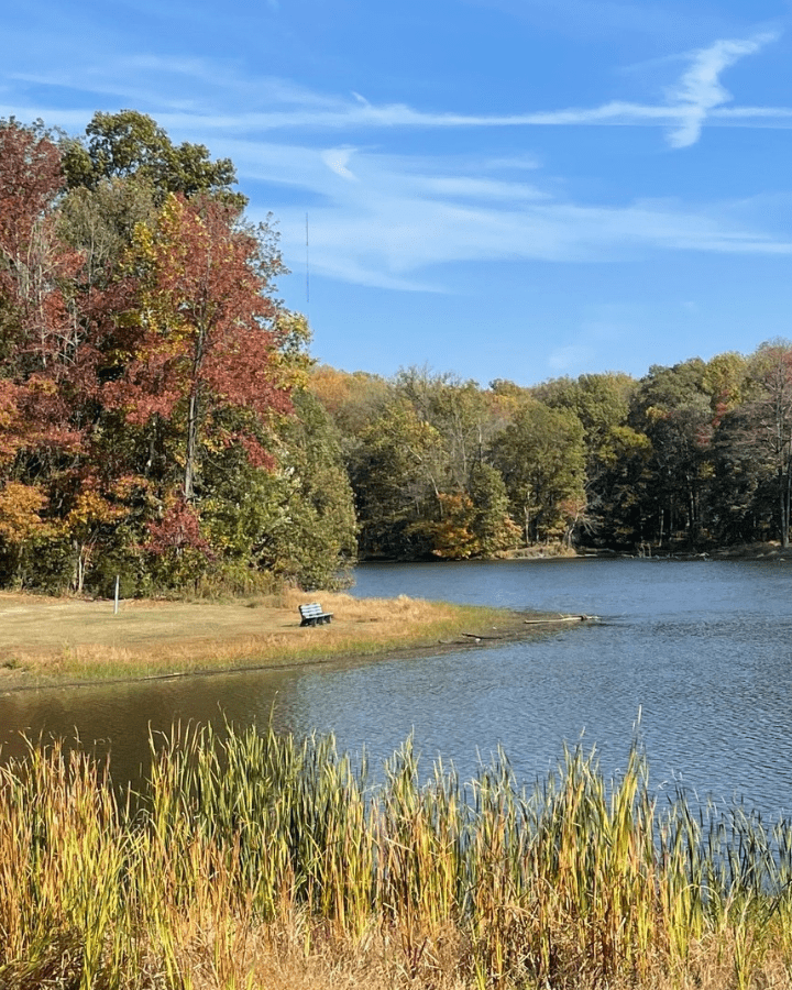 john james audubon park fall 