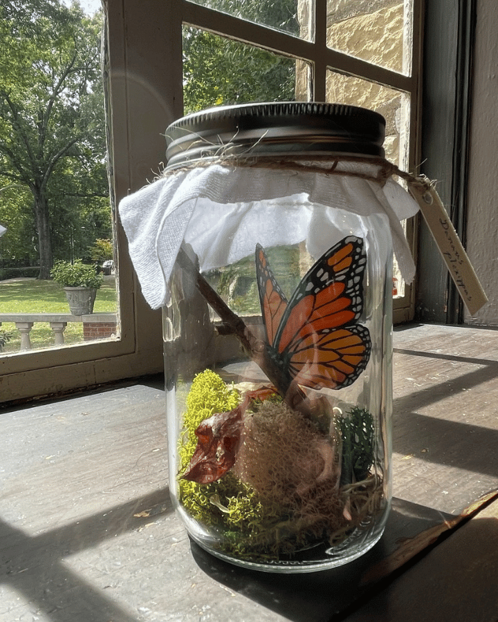 monarch butterflies craft