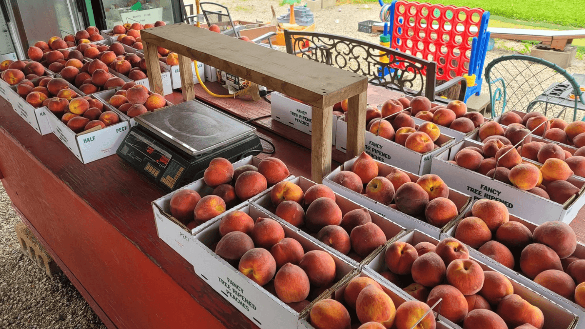 reimanns farm peaches